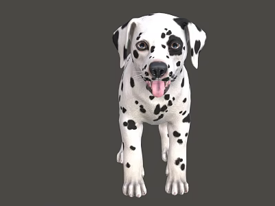 Cute Dalmatian Puppy With Black Spots And Tongue Out Looking Playful 3d model