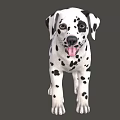 Cute Dalmatian Puppy With Black Spots And Tongue Out Looking Playful