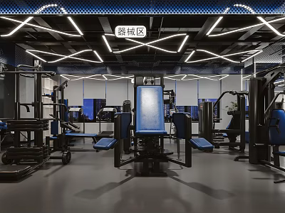 Fitness Equipment Area With Various Workout Machines Modern Lighting And Exercise Gear 3d model