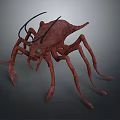 Red Arachnid Creature With Long Antennae Many Slender Legs And Oval Body