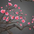 Pink Plum Blossom Shaped Pastry With Delicate Sweet Flavor And Gray Background