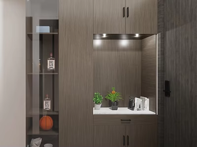 Modern Wooden Shoe Cabinet With LED Lighting Open Shelves Plants And Storage 3d model