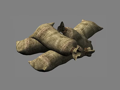 Modern Sack 3d model
