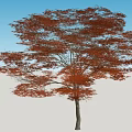 Red Leaf Tree with Lush Foliage Standing in Open Grassland Under Blue Sky 3d model
