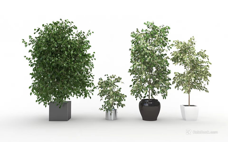 Various Sizes Green Leafy Potted Plants With Gray Silver Black And White Pots 3d model 