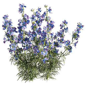 Modern Flower Lilac Grass 3d model