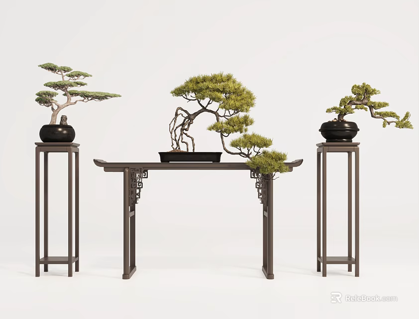 Traditional Bonsai Plants Display On Wooden Table And Stands With Curved Branches 3d model 