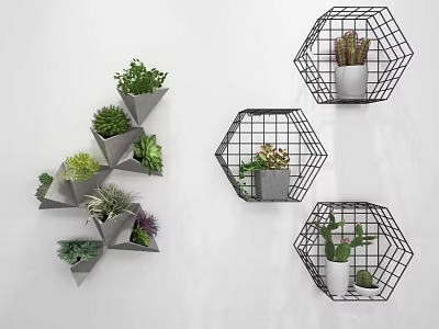 Wall Mounted Geometric Metal Frame Vases With Succulents In Triangular And Hexagonal Planters 3d model