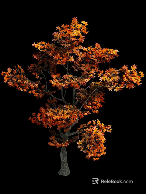 Autumn Bushes with Vibrant Orange Leaves and Lush Foliage Against Black Background 3d model 