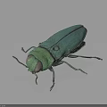 Teal Metallic Beetle With Shiny Exoskeleton And Long Legs On Dark Background