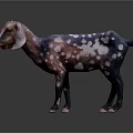 Colorful Brown White Spotted Goat Sculpture With Detailed Patterns In Standing Pose