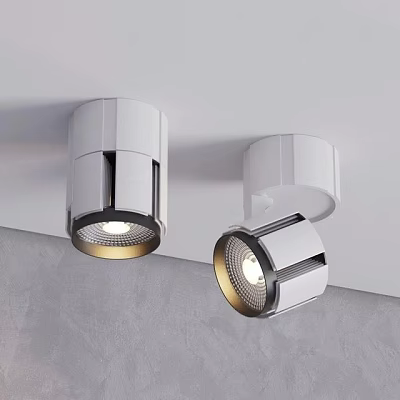 Sleek Modern White Downlights and Spotlights with Metallic Accents Ceiling Mounted Illuminated 3d model