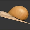 Giant Yellow Snail with White Body and Long Antennae Moving on Dark Shiny Surface