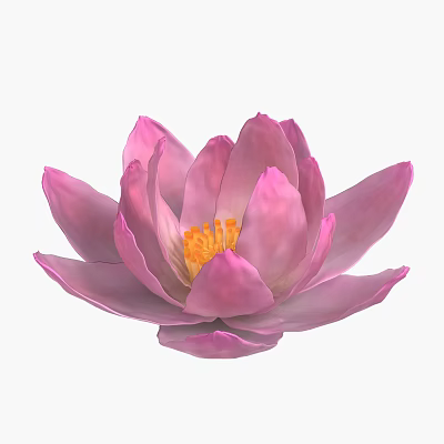 Modern Lotus 3d model