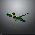 Colorful Bird With Yellow Body Green Wings Blue Head Long Tail Standing On Reflective Surface