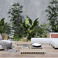 Modern Outdoor Sofa With Rattan Frame And Green Plant Decor On Wooden Garden Deck