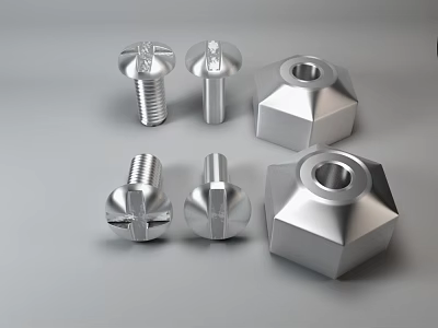 Shiny Metal Fasteners Including Cross Head Screws And Hexagonal Nuts 3d model
