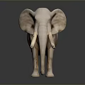 Light Colored Elephant Sculpture With Long Tusks And Smooth Reflective Surface On Dark Background