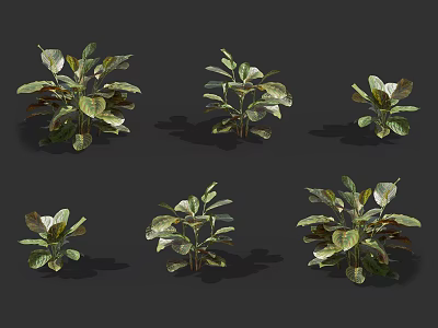 Six Green Plants in Different Forms with Green Leaves on Dark Background 3d model