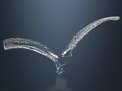 Bird Wing Skeleton 3D Wireframe Design On Dark Background With Reflection 3d model