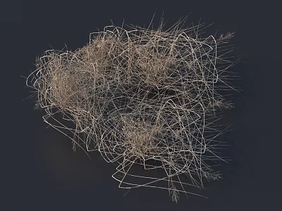 Loose Dry Grass Strands Forming Tangled Natural Textured Abstract Structure 3d model