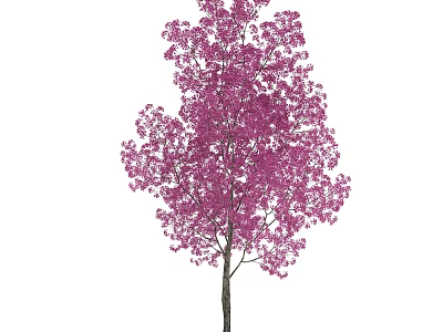 Tall Vibrant Arbor With Lush Pink Flowers And Dark Trunk 3d model