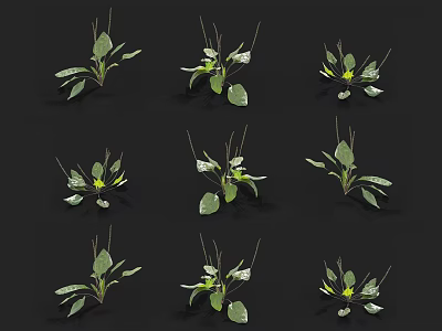 Green Leafy Plants With Yellow Blooms Displayed In Various Angles 3d model