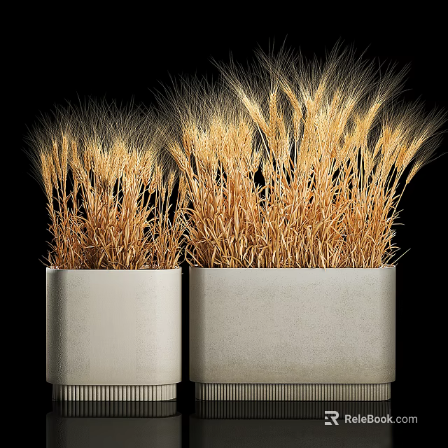 Two White Ceramic Potted Wheat Stalk Plants For Home Decor 3d model 