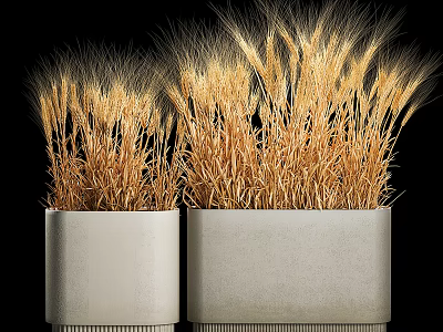 Two White Ceramic Potted Wheat Stalk Plants For Home Decor 3d model