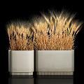 Two White Ceramic Potted Wheat Stalk Plants For Home Decor 3d model