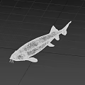 Shiny Aquatic Catfish With Whiskers And Streamlined Body On Dark Reflective Background