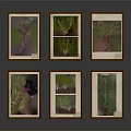 Six Wooden Framed Plant Photography Prints Arranged in Grid as Wall Art