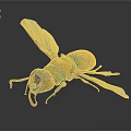 Detailed Vibrant Rainbow Colored Insect With Transparent Wings On Dark Background