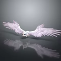 Cute White Small Creature With Purple Spread Wings On Dark Background With Reflection 3d model