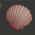 Artistic Carved Shell Sculpture With White Pink Edges And Detailed Radial Textures