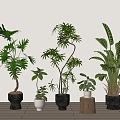 potted plants potted plants 3d model