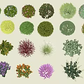 Diverse Collection of Shrubs With Vibrant Colors and Round Shapes for Garden Landscaping