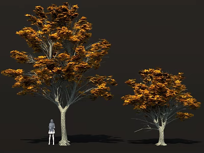 Autumn Trees With Golden Orange Leaves And Small Figure Standing Below 3d model