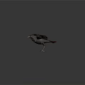 Mythical Fantasy Raptor With Vibrant Red Brown Feathers Spread Wings And Sharp Talons
