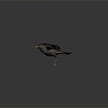 Modern Birds Birds 3d model