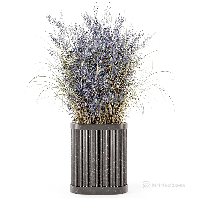 Potted Plant With Purple And Light Brown Grass Like Plants In Dark Gray Striped Pot 3d model 