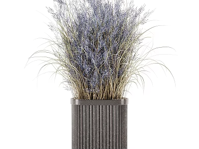 Potted Plant With Purple And Light Brown Grass Like Plants In Dark Gray Striped Pot 3d model