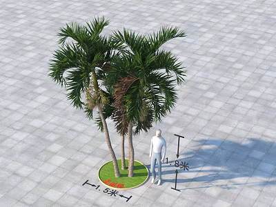 Clustered Palm Trees in Circular Green Lawn With 3.8 Meters Height And Gray Square Paving 3d model