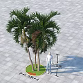 Clustered Palm Trees in Circular Green Lawn With 3.8 Meters Height And Gray Square Paving