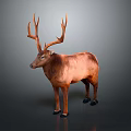 Brown Deer With Large Antlers Standing On Gray Background In Natural Posture