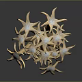 Multiple Golden Starfish Clustered in Artistic Sculpture on Dark Background