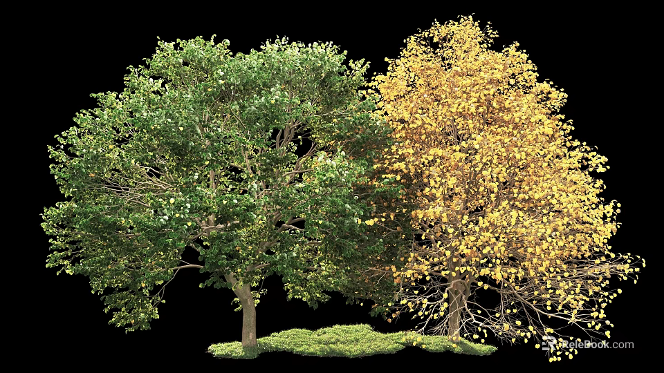 Lush Green And Vibrant Yellow Trees With Fresh Grass In Natural Setting 3d model 