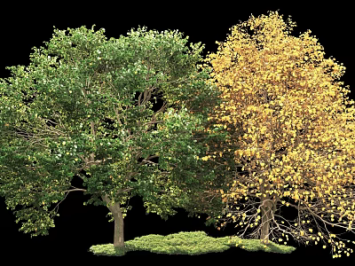 Lush Green And Vibrant Yellow Trees With Fresh Grass In Natural Setting 3d model