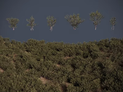 Lush Green Shrubs Cover Hillside With Silhouette Trees In Sky Background 3d model