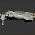 Detailed Beige Deer Model Standing On Dark Background With Shiny Reflection